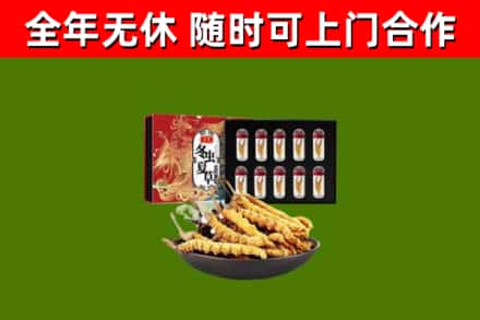 通化回收冬虫夏草价格